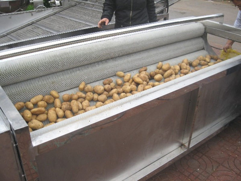 土豆、紅薯清洗去皮機